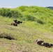 RD24 | Marines Conduct Counter-Assault Range During Resolute Dragon