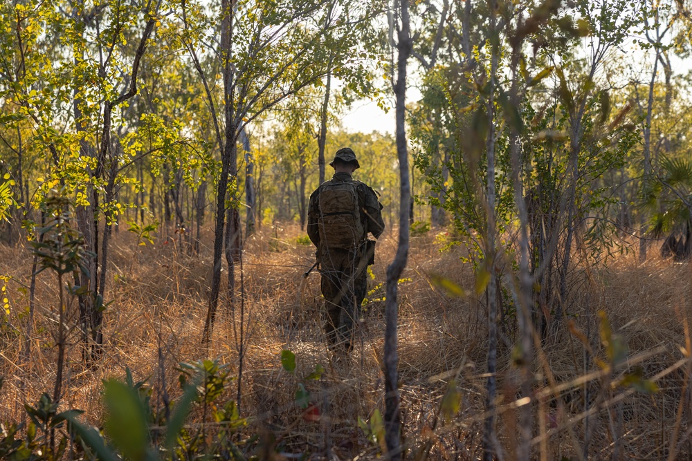 MRF-D 24.3: U.S. Marines participate in warfighting exercise during Exercise Predator’s Run 24