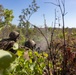 MRF-D 24.3: Fox Co., 2nd Bn., 5th Marines (Rein.), participates in live-fire ranges during Exercise Predator’s Run 24