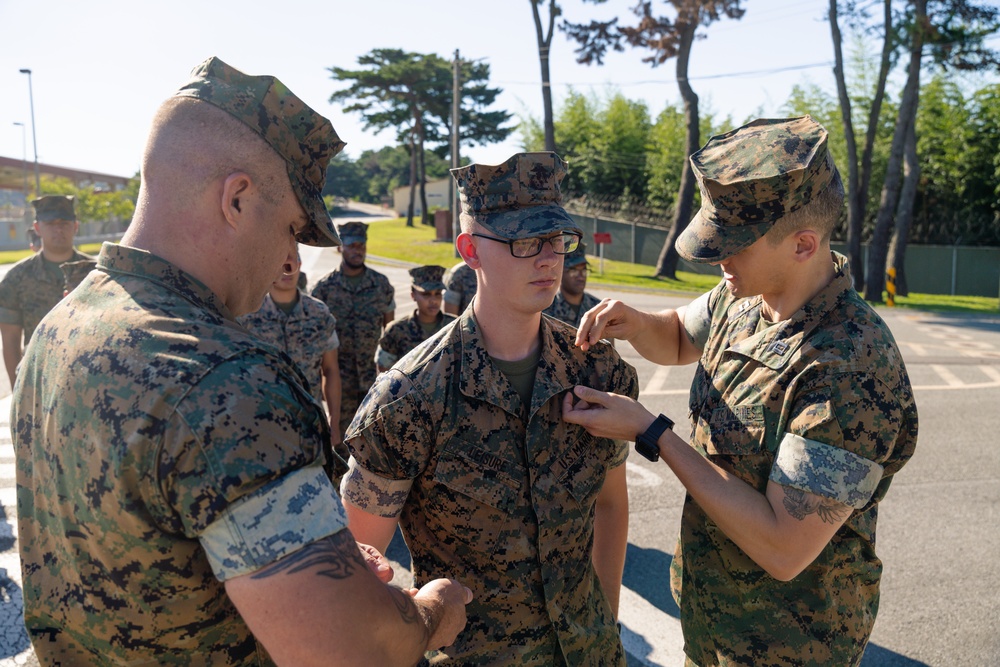 Back Bone of the Marine Corps | Camp Mujuk promotion ceremony