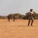 North Carolina National Guard, Botswana conduct joint battle drills at Southern Accord 2024