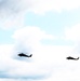 UH-60 Black Hawk training operations at Fort McCoy