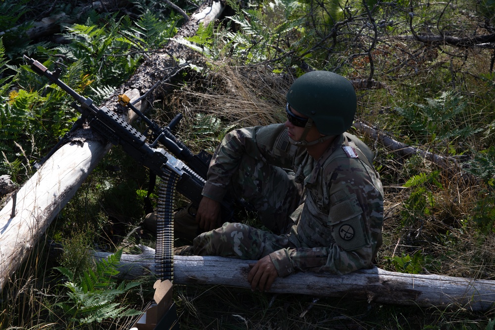 B Battery, 1st Battalion, 201st Field Artillery Regiment reacts to contact and shoots illumination rounds during Northern Strike 2024