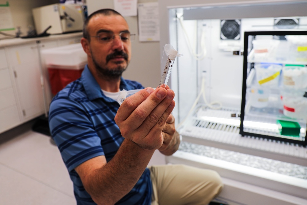 WRAIR’s Insectary maintains insects for critical biomedical research