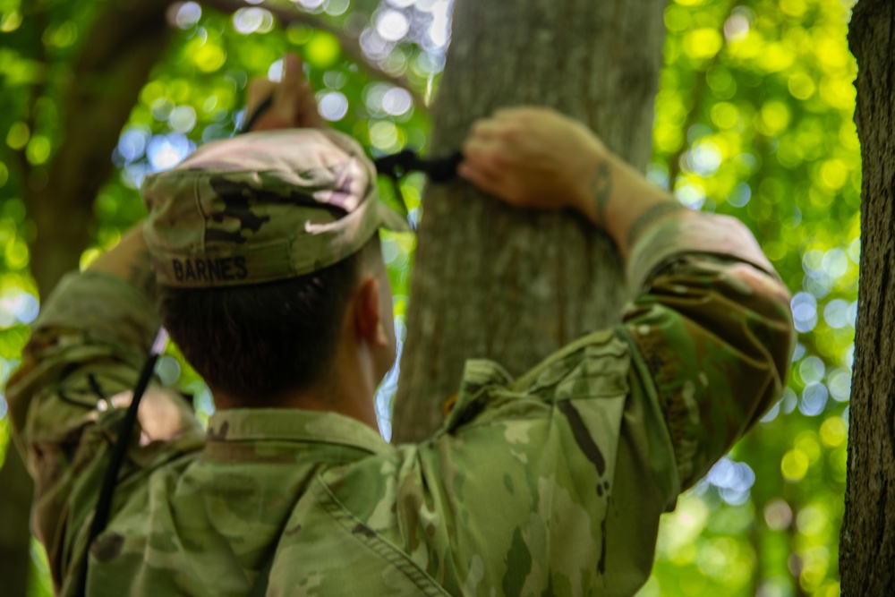 10th Mountain Division WAR Week 2024