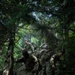 10th Mountain Soldiers climb Lower Wolfjaw Mountain