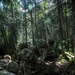 10th Mountain Soldiers climb Lower Wolfjaw Mountain