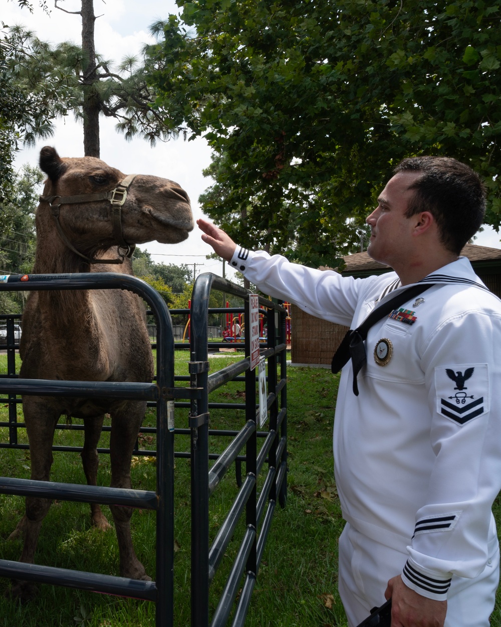 Sailors Volunteer at Tampa Housing Authority’s Back to School Bash