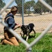 60th SFS conducts routine training with MWDs