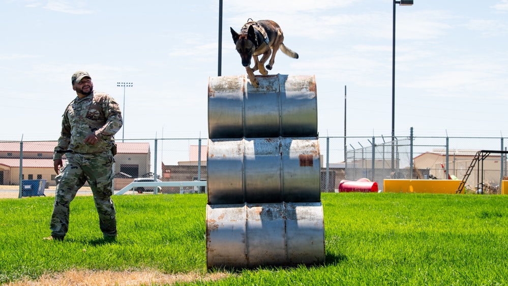60th SFS conducts routine training with MWDs