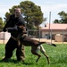 60th SFS conducts routine training with MWDs