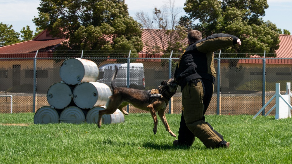 60th SFS conducts routine training with MWDs