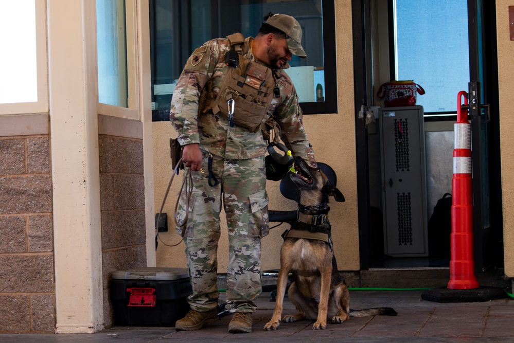 60th SFS conducts routine training with MWDs