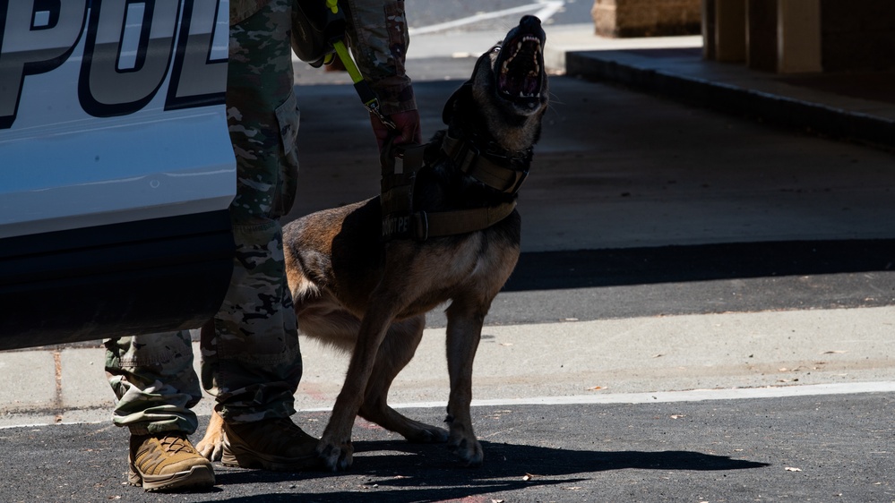 60th SFS conducts routine training with MWDs