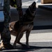 60th SFS conducts routine training with MWDs