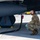 U.S. Air Force F-22s complete Dynamic Force Employment operations in Indonesia