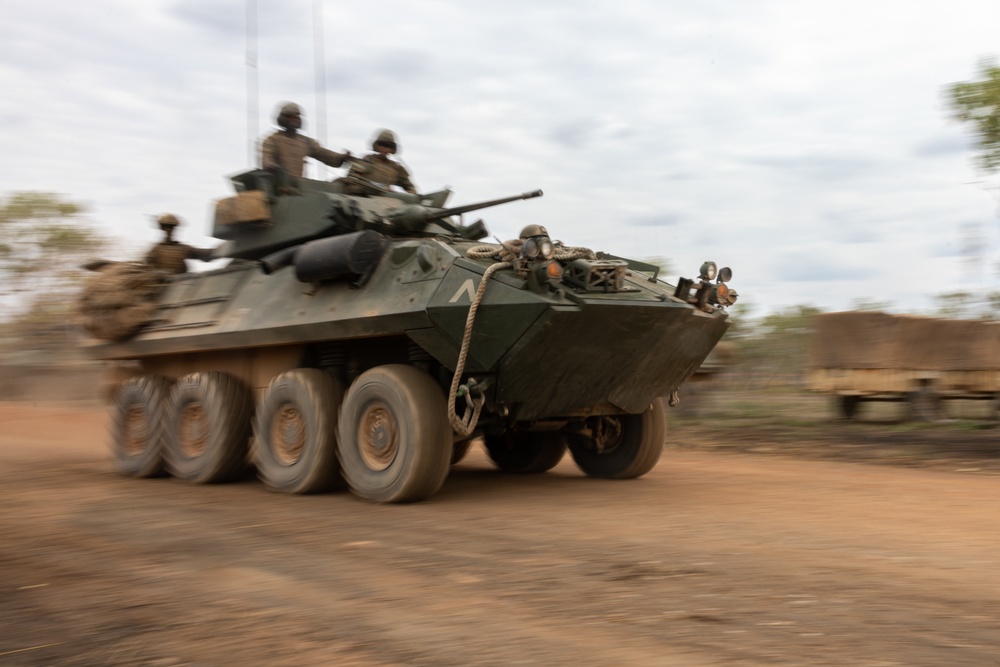 1st LAR Bn. performs weapons maintenance during Exercise Predator’s Run 24