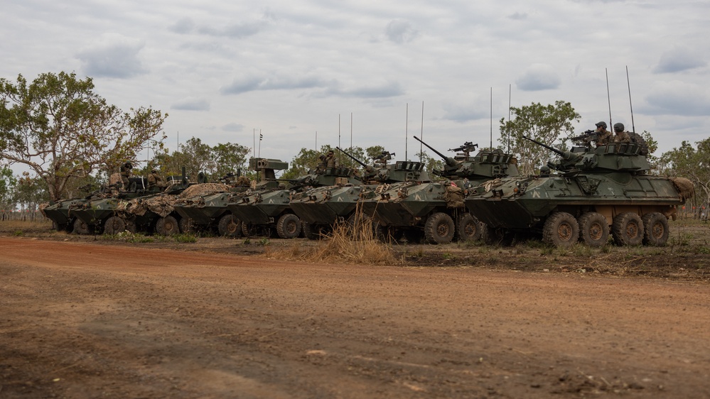 1st LAR Bn. performs weapons maintenance during Exercise Predator’s Run 24