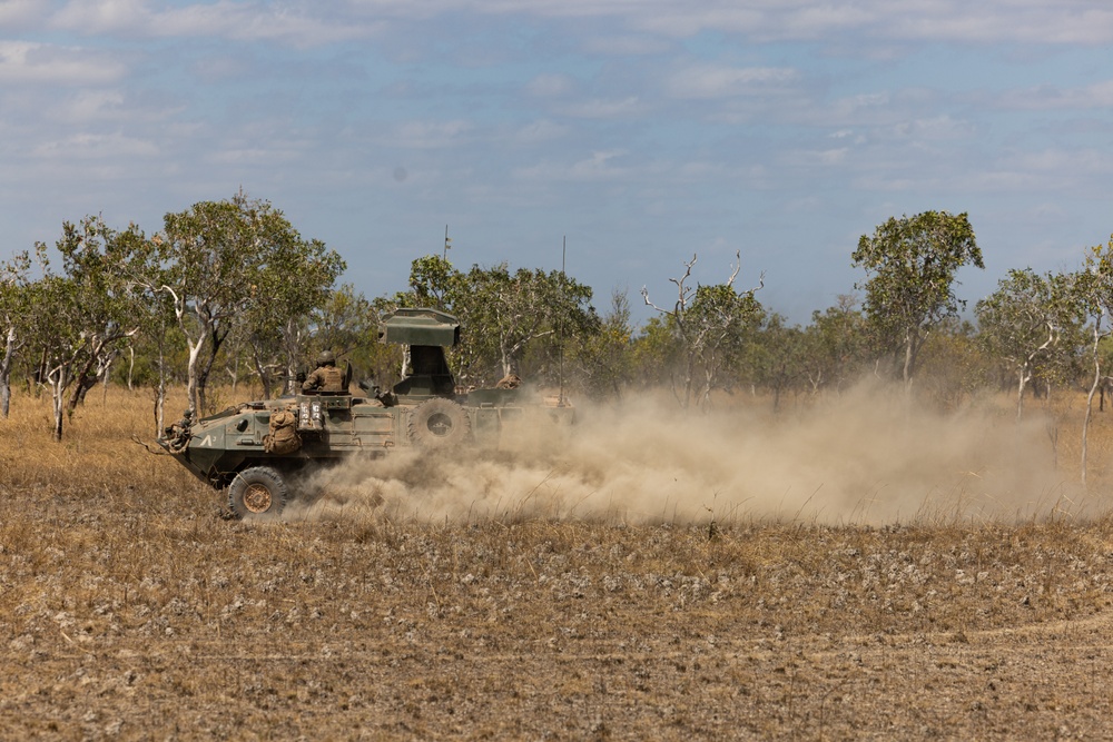 1st LAR Bn. conducts white space training during Exercise Predator’s Run 24