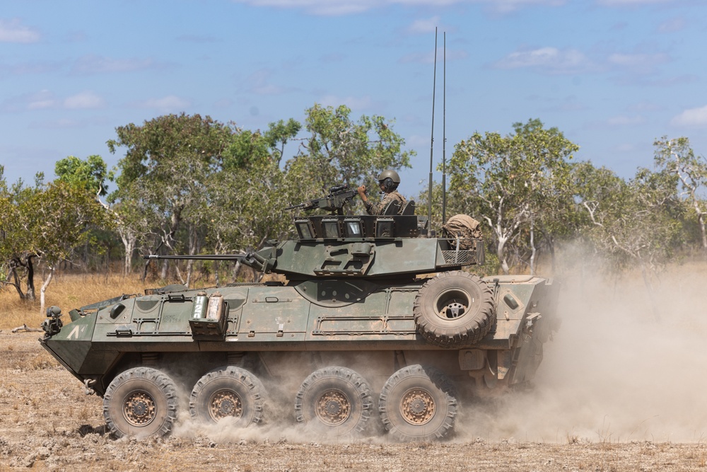 1st LAR Bn. conducts white space training during Exercise Predator’s Run 24