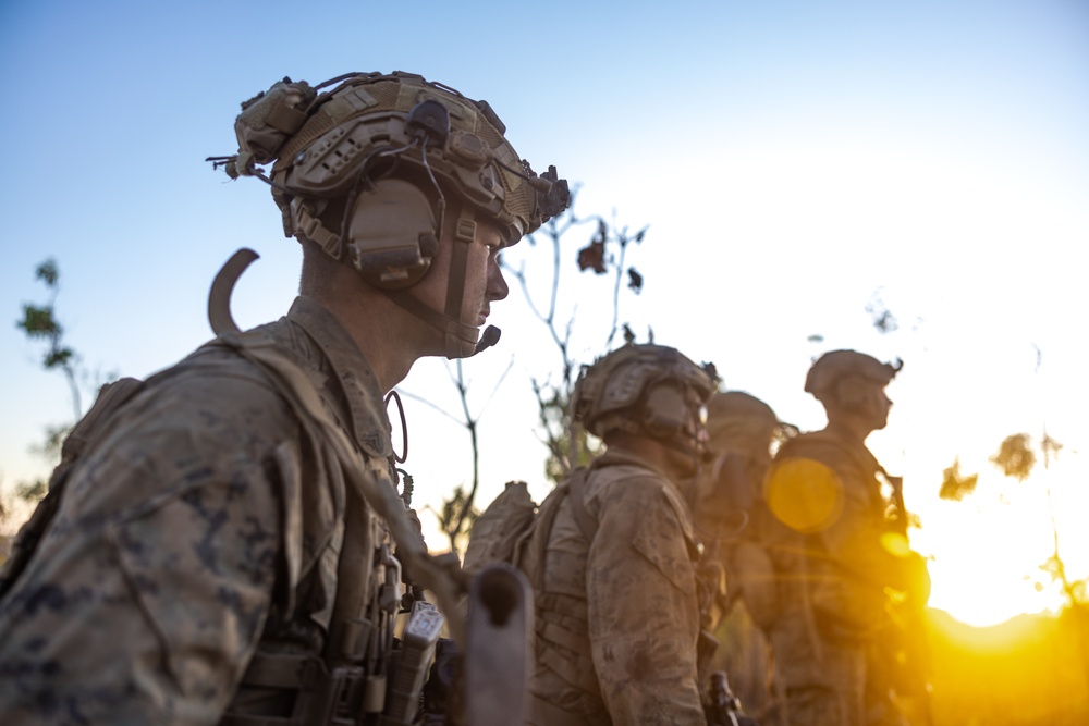 1st LAR Bn. prepares for CALFEX during Exercise Predator’s Run 24