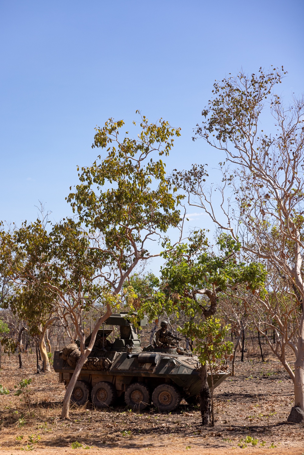1st LAR Bn. prepares for CALFEX during Exercise Predator’s Run 24