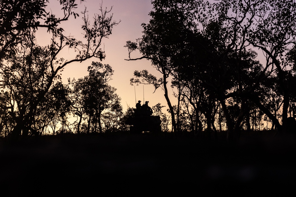 U.S. Marines with 1st LAR Bn. participate in Exercise Predator’s Run 24