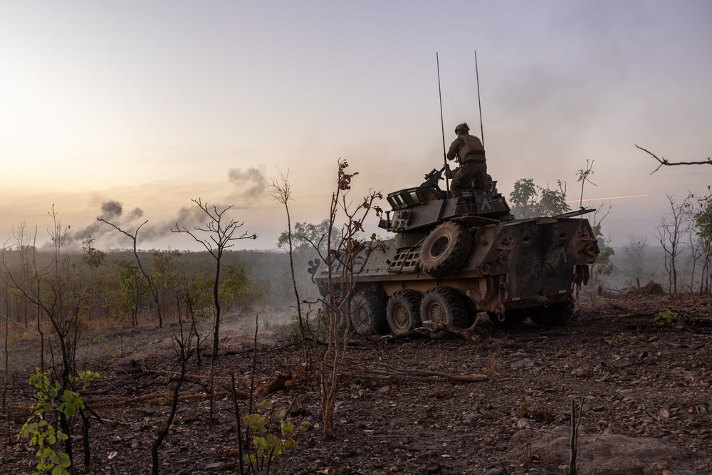 U.S. Marines with 1st LAR Bn. participate in Exercise Predator’s Run 24