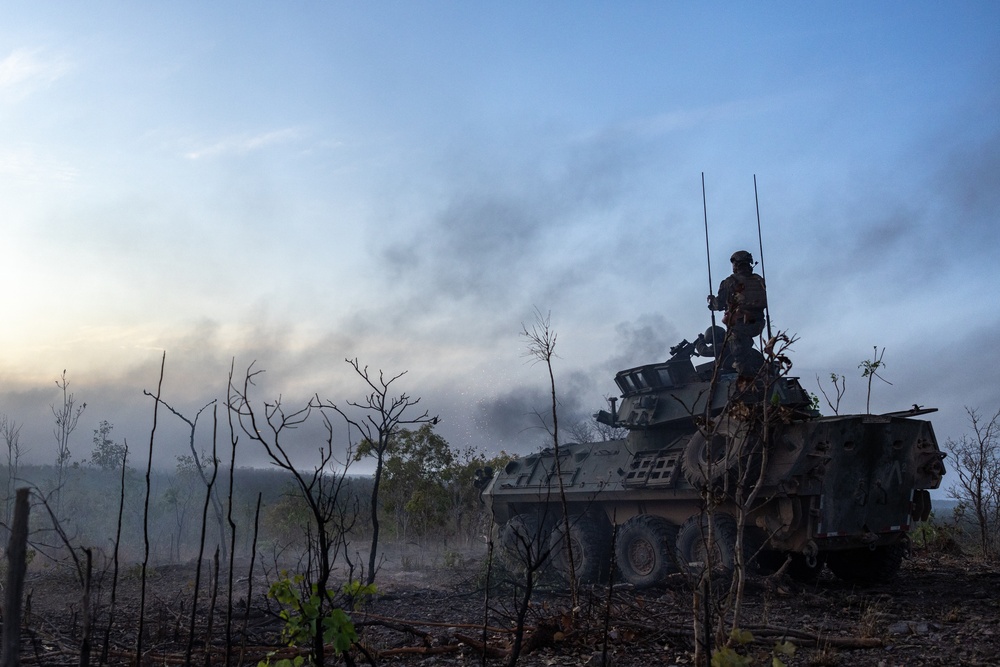 U.S. Marines with 1st LAR Bn. participate in Exercise Predator’s Run 24