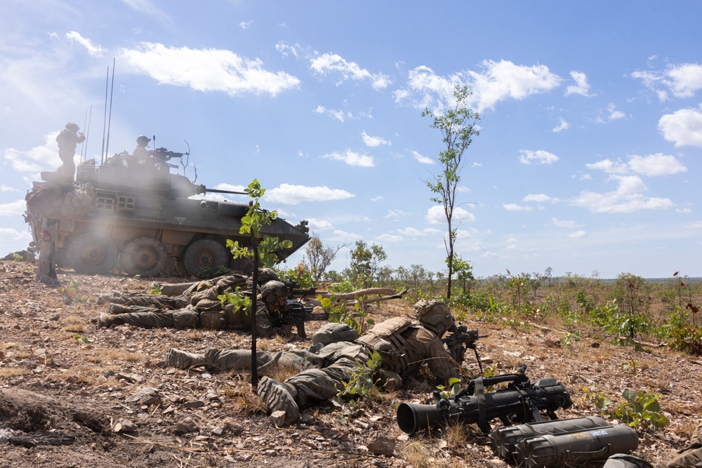 U.S. Marines with 1st LAR Bn. participate in Exercise Predator’s Run 24