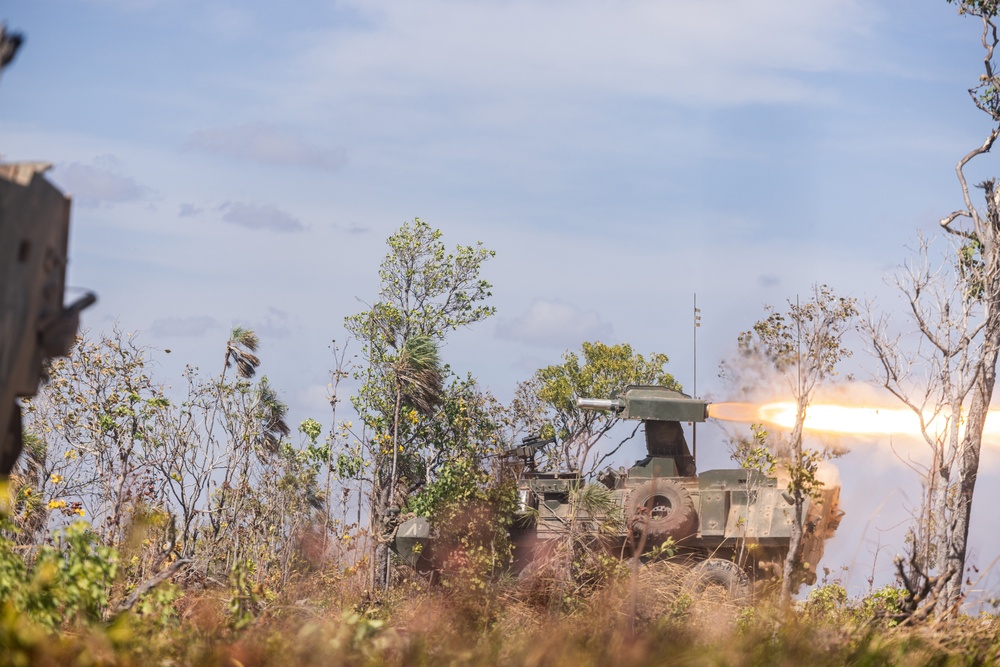 U.S. Marines with 1st LAR Bn. participate in Exercise Predator’s Run 24