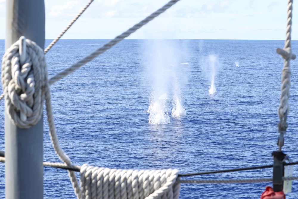 Frank E. Petersen Jr. conducts crew serve weapon shoot