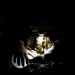 SOTU Airmen, Italian SOF conduct humanitarian aid, disaster relief training during EW 24 FTX II