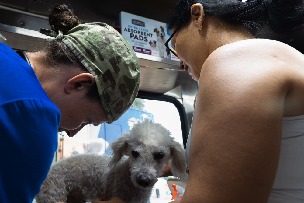 Continuing Promise 2024 personnel provide veterinary assistance in Chino, Colombia