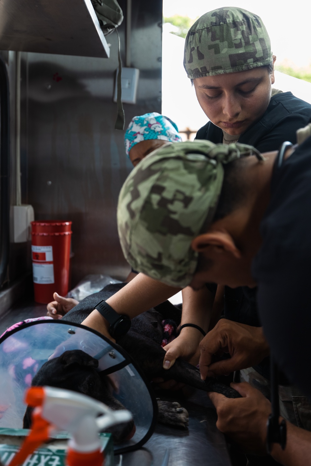 Continuing Promise 2024 personnel provide veterinary assistance in Chino, Colombia