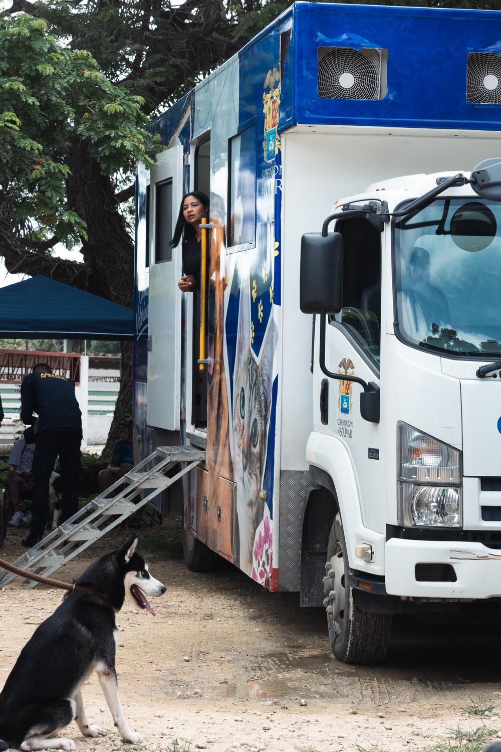 Continuing Promise 2024 personnel provide veterinary assistance in Chino, Colombia