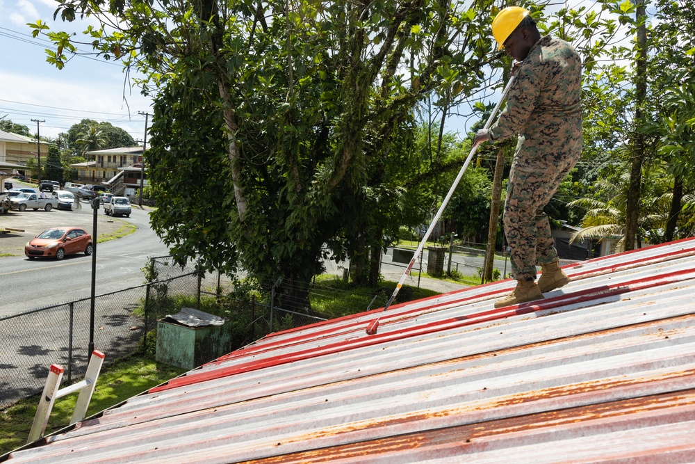 Koa Moana 24: Library Roof Painting