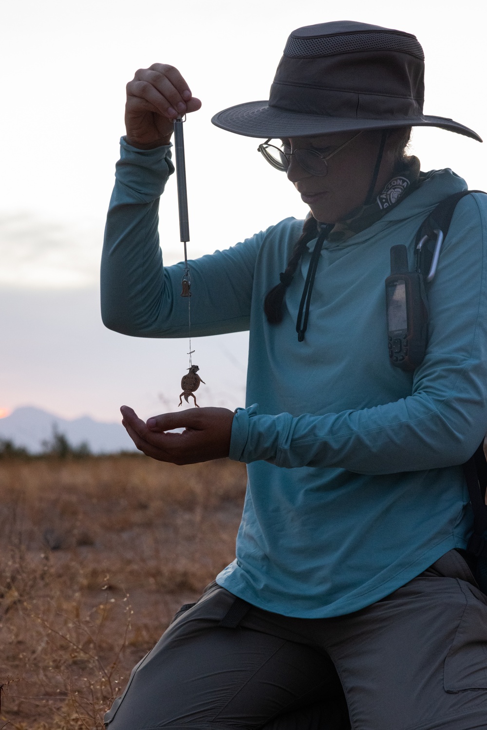 MCAS Yuma collaborates with Arizona Game and Fish to conduct an occupancy survey