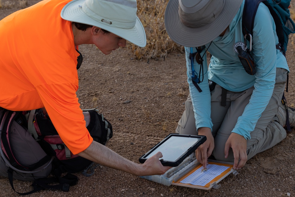 MCAS Yuma collaborates with Arizona Game and Fish to conduct an occupancy survey