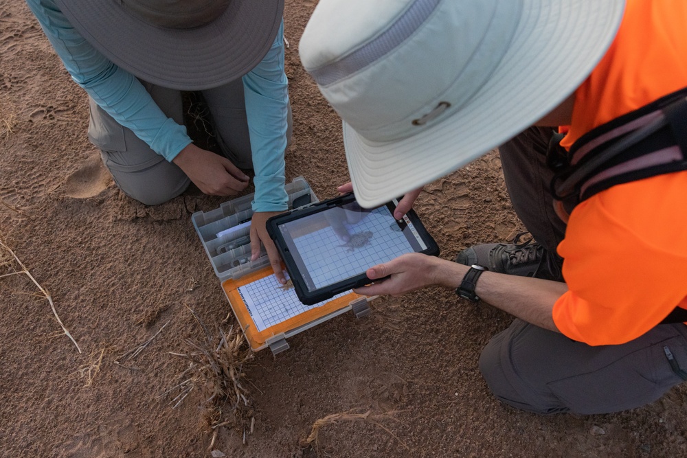 MCAS Yuma collaborates with Arizona Game and Fish to conduct an occupancy survey