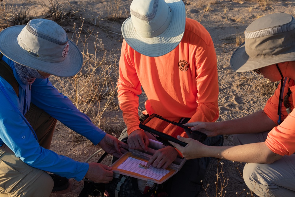 MCAS Yuma collaborates with Arizona Game and Fish to conduct an occupancy survey