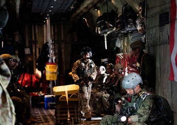 36 AS, JGSDF conduct airdrops over Sendai