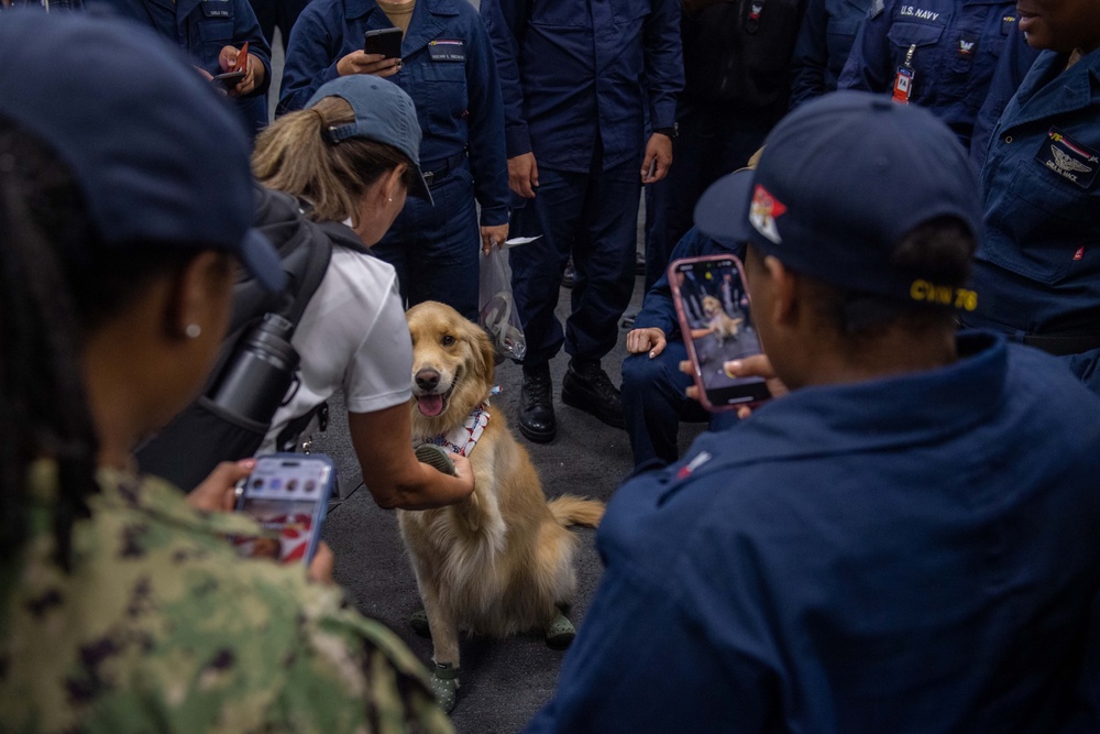 USS Ronald Reagan (CVN 76) welcomes Lucky the therapy dog