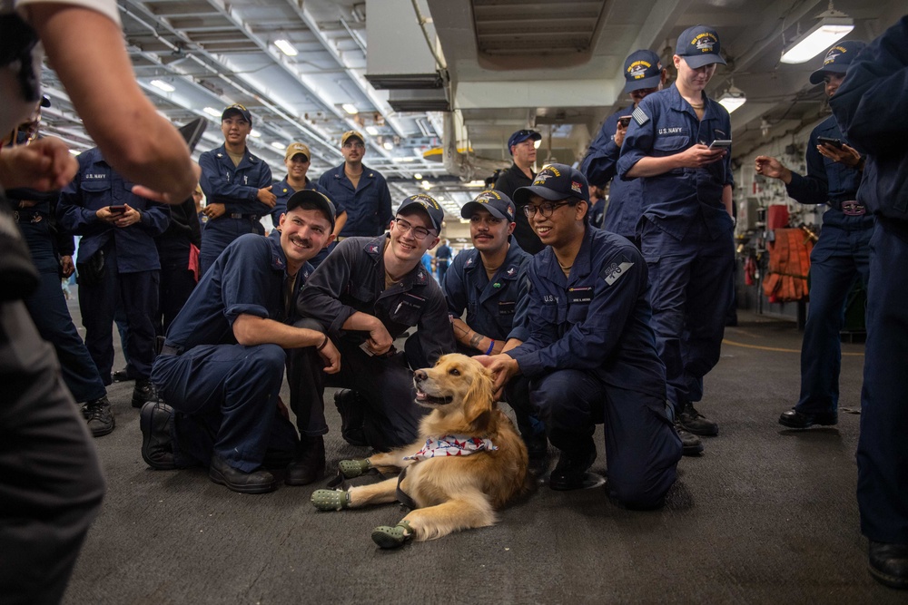 USS Ronald Reagan (CVN 76) welcomes Lucky the therapy dog