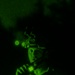 III MEF Marines Participate in Simulated Amphibious Assault