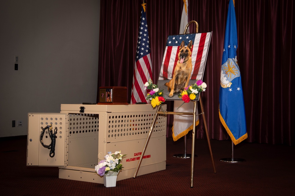 Mission Complete: military working dog Tek’s legacy
