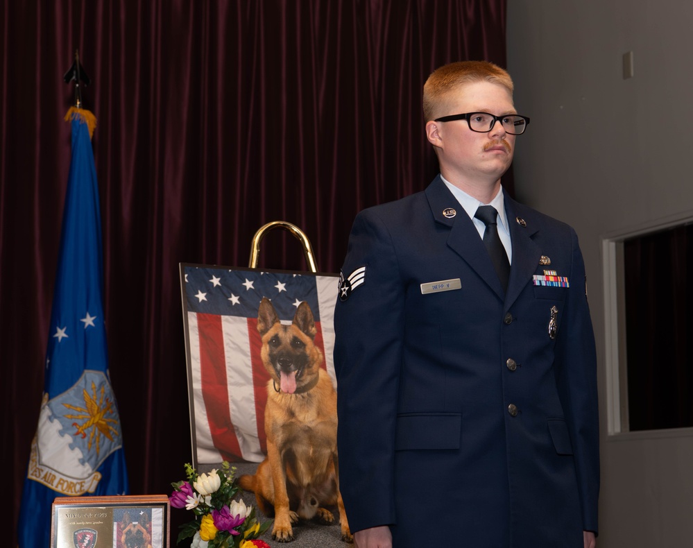Mission Complete: military working dog Tek’s legacy