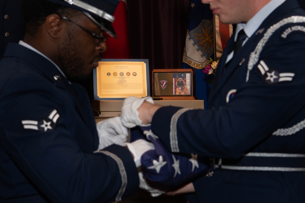 Mission Complete: military working dog Tek’s legacy