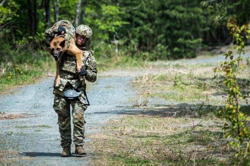 Mission Complete: military working dog Tek’s legacy