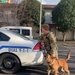 Mission Complete: military working dog Tek’s legacy